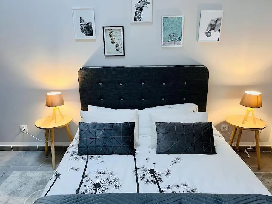 Apartment Superbe Maison Plein Centre Merville  France